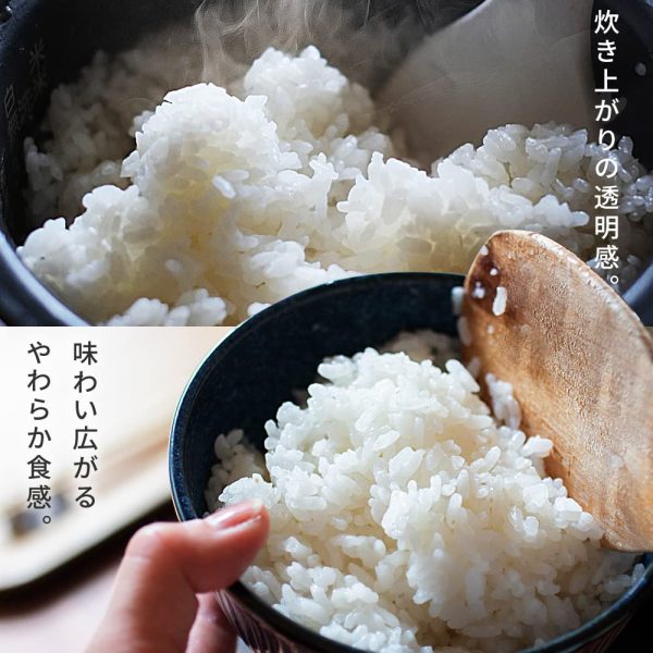 【精米】 アイリスオーヤマ(IRIS OHYAMA) 低温製法米 無洗米 秋田県産 あきたこまち 5キログラム (x 1) 令和6年産 - Image 6