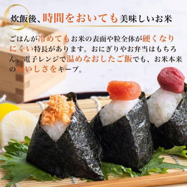 【お米マイスター厳選 プレミアム米】 侍 SAMURAI RICE 白米 国産 3kg 令和6年産 - Image 3