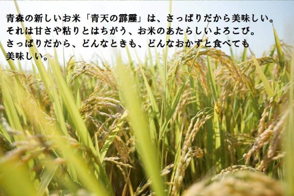 おくさま印 【精米】青森県産 白米 青天の霹靂 5kg 令和6年産 - Image 3