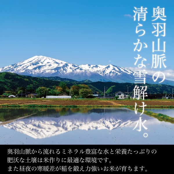 精米 令和６年産 特A 山形県産 雪若丸 5kg 白米 精米 ふるさとファーム - Image 4