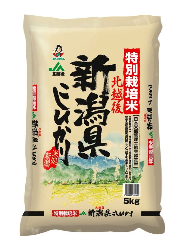 おくさま印 【精米】新潟県北越後産 特別栽培米白米 こしひかり 5kg 令和6年産