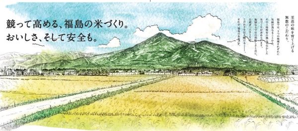 パールライス 令和6年産 福島県産 無洗米 天のつぶ 5kg 令和6年産 - Image 5
