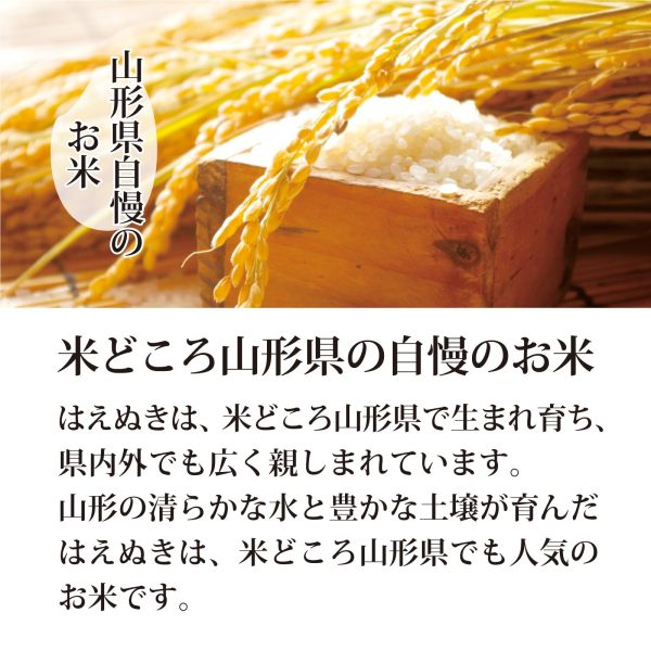 ミツハシ 【精米】 山形県産 無洗米 はえぬき 5kg 令和6年産 - Image 4