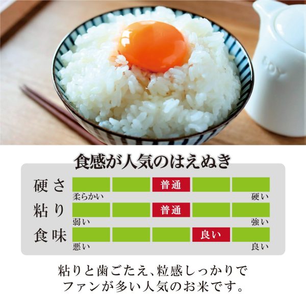 ミツハシ 【精米】 山形県産 無洗米 はえぬき 5kg 令和6年産 - Image 2