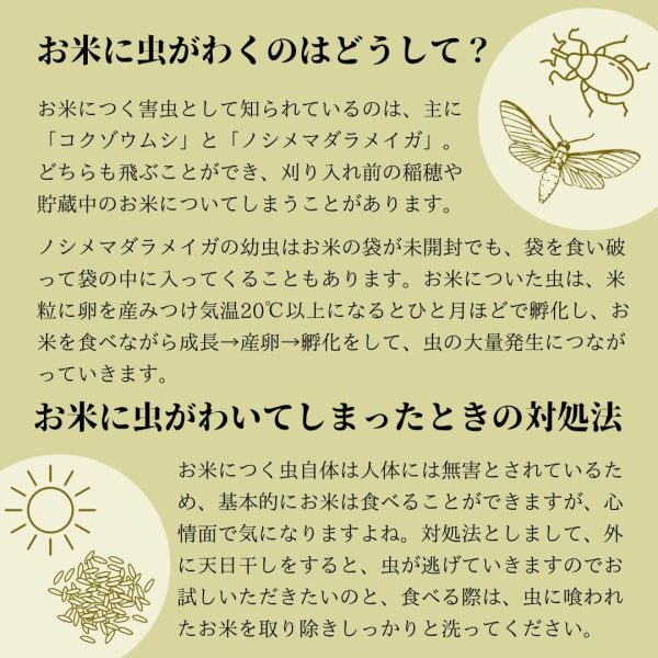 スマート米 福島県白河産 天のつぶ 無洗米玄米 1.8kg 残留農薬不検出 - Image 2