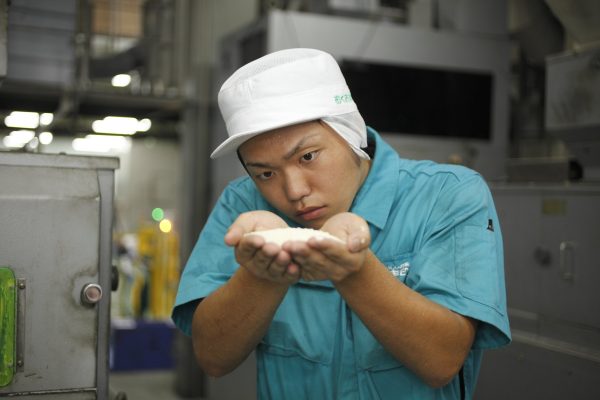 おくさま印 【精米】新潟県北越後産 特別栽培米白米 こしひかり 5kg 令和6年産 - Image 5