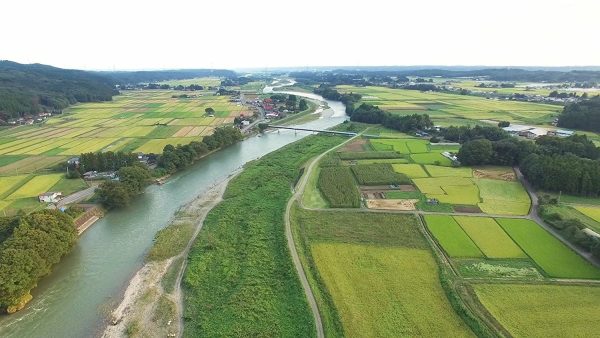 パールライス 栃木県産 無洗米 とちぎの星 5kg 令和6年産 - Image 2