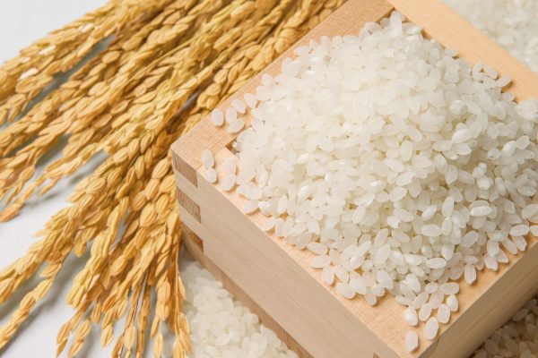おくさま印 【精米】新潟県北越後産 特別栽培米白米 こしひかり 5kg 令和6年産 - Image 4