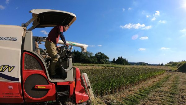 【五分づき精米】金賞受賞 熊本県菊池産ヒノヒカリ５ｋｇ 残留農薬ゼロ 玄米並みの栄養価 消化にやさしく美味しい - Image 2