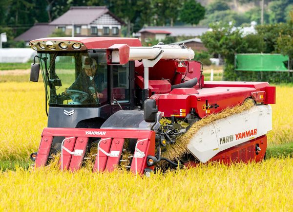 新米【精米】令和6年産 宮城県一迫産限定米 つや姫 5kg - Image 5